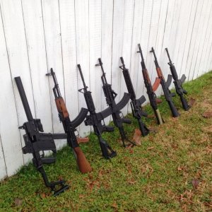 Some of my long guns