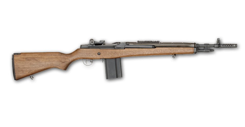 Springfield_Armory_M1A_Scout_Squad.jpg