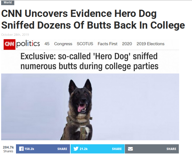 hero dog.png