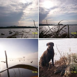 Duck Hunting 2009 - 2010