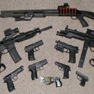 9 Gun, just a few of the flock