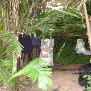 Jungle shelter