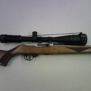 Ruger 10/22 SS
