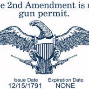 gun permit
