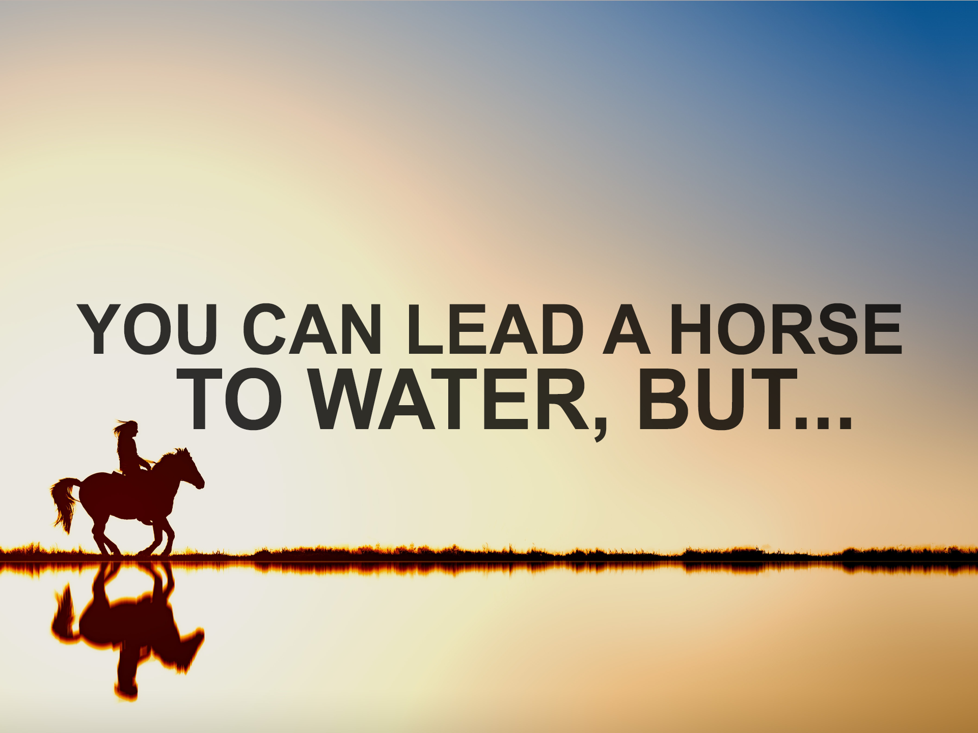 030319+You+can+lead+a+horse+to+water+but.png