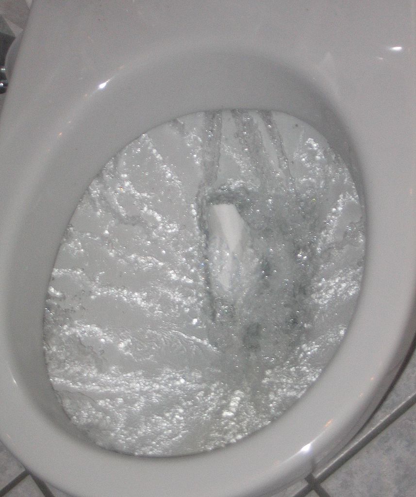 857px-Flushing_toilet.jpg
