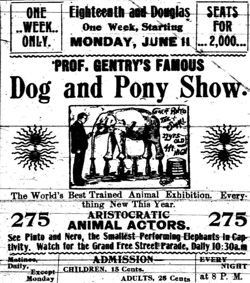 800px-Prof._Gentry%27s_Famous_Dog_and_Pony_Show.jpg